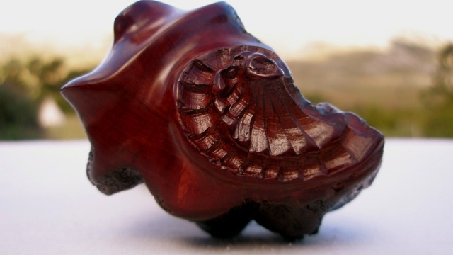 Wood Carved Sculptural Pipe Pedro Ferrizzo
